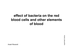 effect of bacteria on the red blood cells and other elements of blood