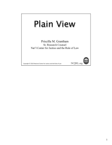Plain View Doctrine