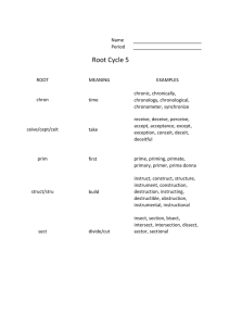 Root Cycle 5 packet grade 6