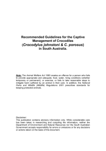 Recommended Guidelines for the Captive Management of Crocodiles