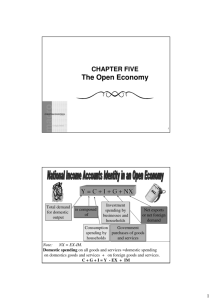 CHAPTER FIVE The Open Economy