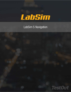 LabSim 5 Navigation