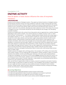 enzyme activity