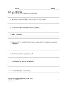 studylib.net - Essys, homework help, flashcards, research papers, book