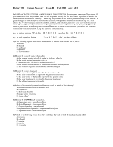 Biology 350 Human Anatomy Exam II Fall 2014 page 1 of 8