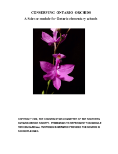conserving ontario orchids - Southern Ontario Orchid Society