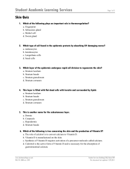 skin quiz structure basic point each durham college pdf