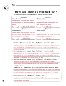How can I define a modified leaf?