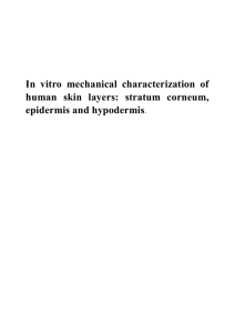 In vitro mechanical characterization of human skin layers
