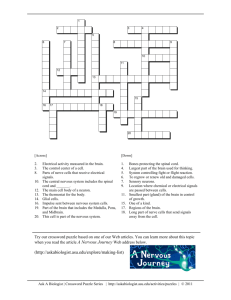 A Nervous Journey - Crossword Puzzle