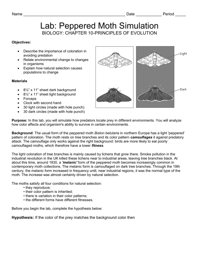 Worksheet Peppered Moth Simulation Worksheet Worksheet Fun Worksheet