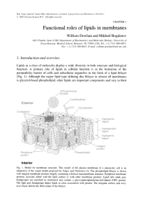 Functional roles of lipids in membranes