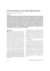 Accessory Foramina in the Body of Sphenoid Bone