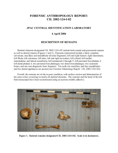 forensic anthropology report: cil 2002-124-i-02