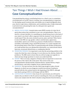 10 Things Case Conceptualization