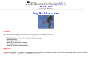 Frog Pith & Preparation