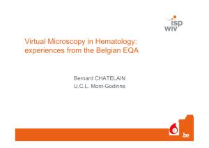 Virtual Microscopy in Hematology: experiences from the Belgian EQA