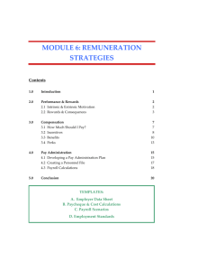 module 6: remuneration strategies