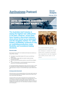 Growing disconnect between beef markets 22/02