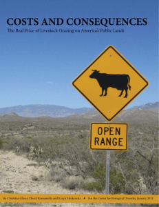 The Real Price of Grazing on America's Public Lands