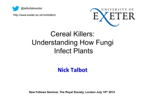 Cereal Killers: Understanding How Fungi Infect Plants