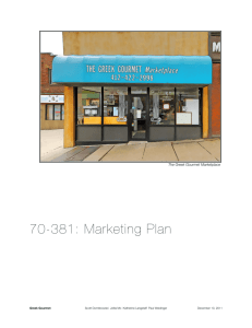70-381: Marketing Plan - Andrew.cmu.edu