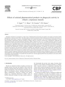 Effects of selected pharmaceutical products on phagocytic activity in