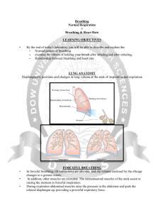 Breathing Normal Respiration + Breathing & Heart Rate LEARNING