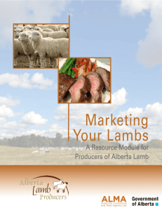 Marketing Your Lambs - Alberta Lamb Producers