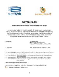research - Advantra Z