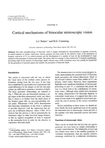 Cortical mechanisms of binocular stereoscopic vision