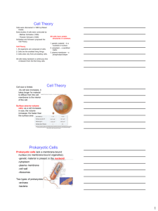 Cell Theory Cell Theory Prokaryotic Cells
