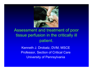 Assessment and treatment of poor tissue perfusion in the critically ill