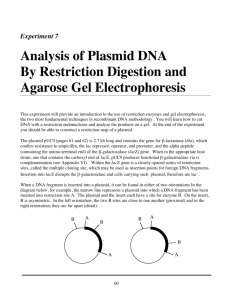 Experiment 7: Analysis of Plasmid DNA by Restriction