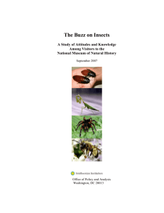 The Buzz on Insects, A Study of Attitudes and Knowledge Among
