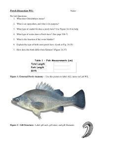 Perch Dissection WS: