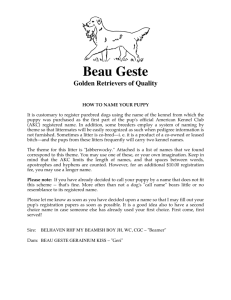 here - Beau Geste