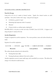 INVESTIGATING AEROBIC RESPIRATION Need for Energy Living