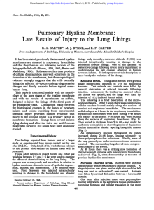Pulmonary Hyaline Membrane: Late Results of Injury to the Lung