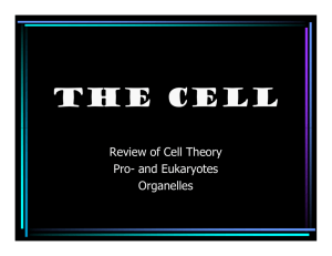 The Cell - Shelly's Science Spot