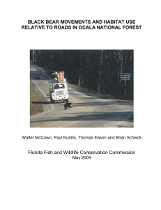 Black Bear Movements and Habitat Use Relative to Roads in Ocala