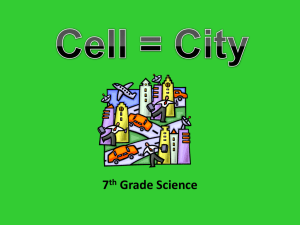 Cell City Analogy - Ms. Feffer 6th and 7th Grade Science