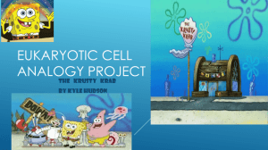 Eukaryotic Cell Analogy Project