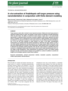 In vivo extraction of Arabidopsis cell turgor pressure using
