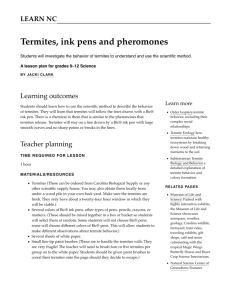 Termites, ink pens and pheromones