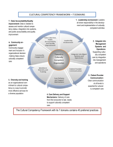 CULTURAL COMPETENCY FRAMEWORK—7 DOMAINS The