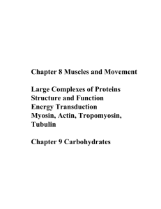 Chapter 8 Muscles and Movement Large Complexes of Proteins