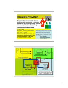 Gas Transport / Control of Respiration