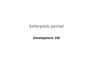 Embryonic period
