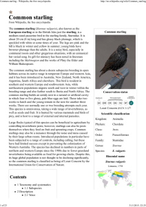 Common starling - Wikipedia, the free encyclopedia